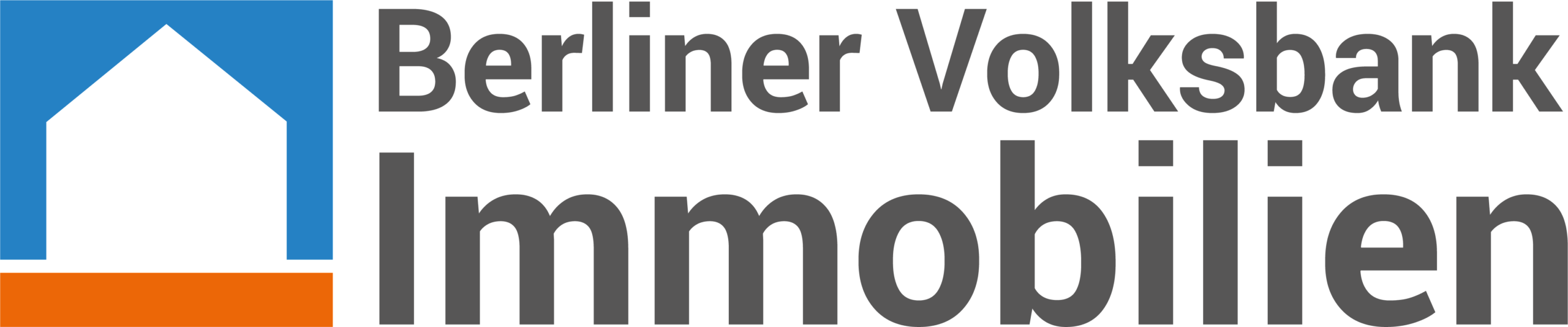 1100x250px BVBI Logo 4c 002 scaled