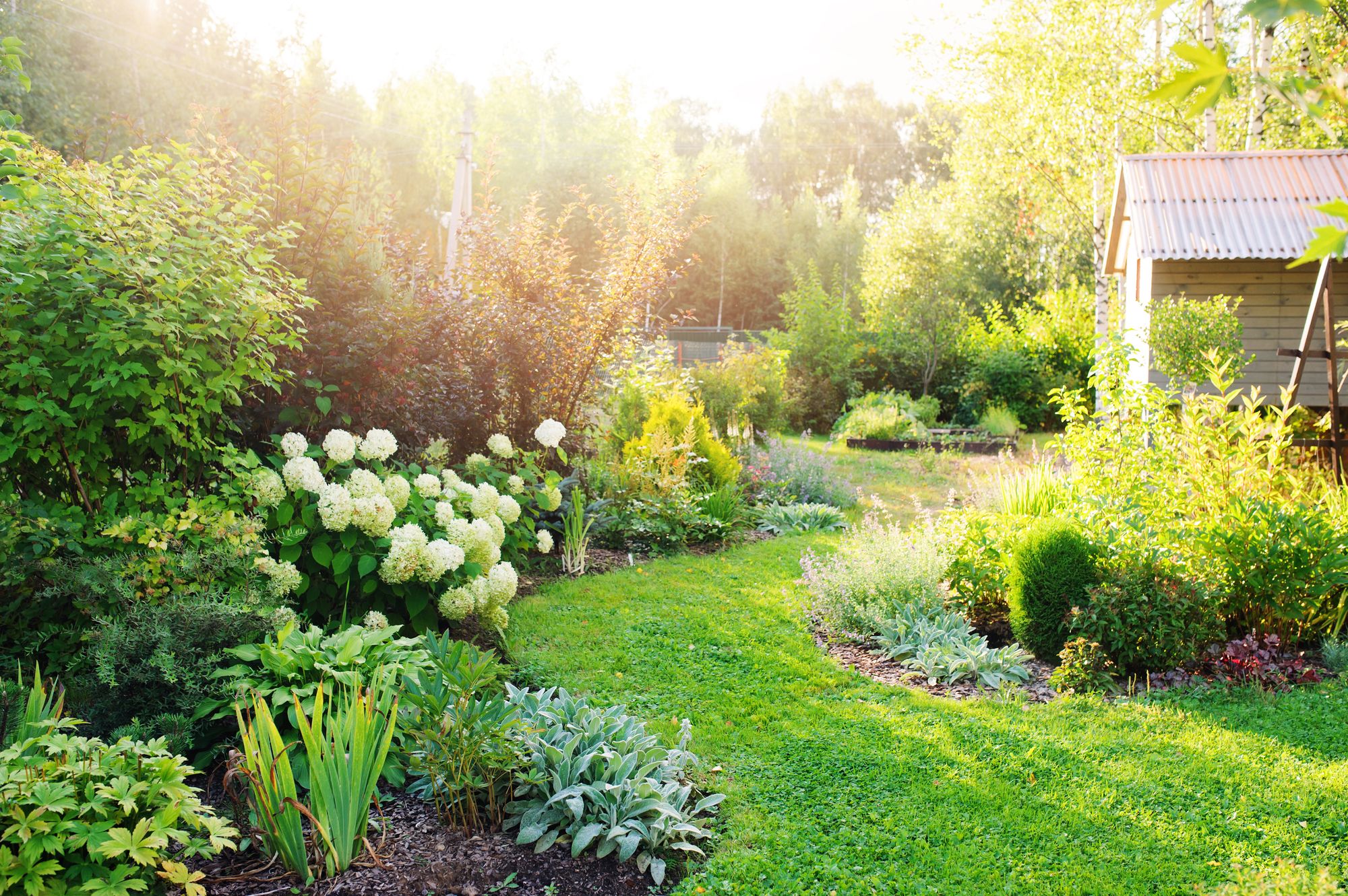 garten sommer