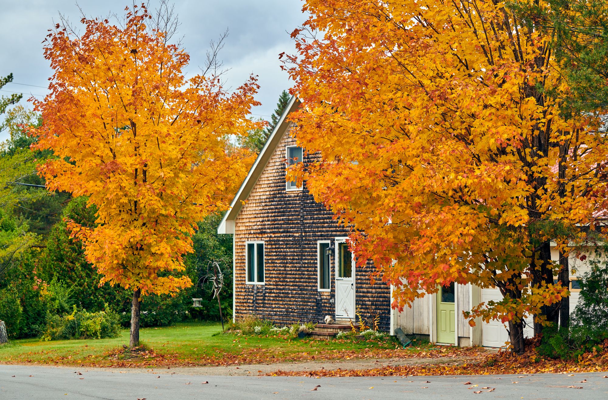 herbst haus