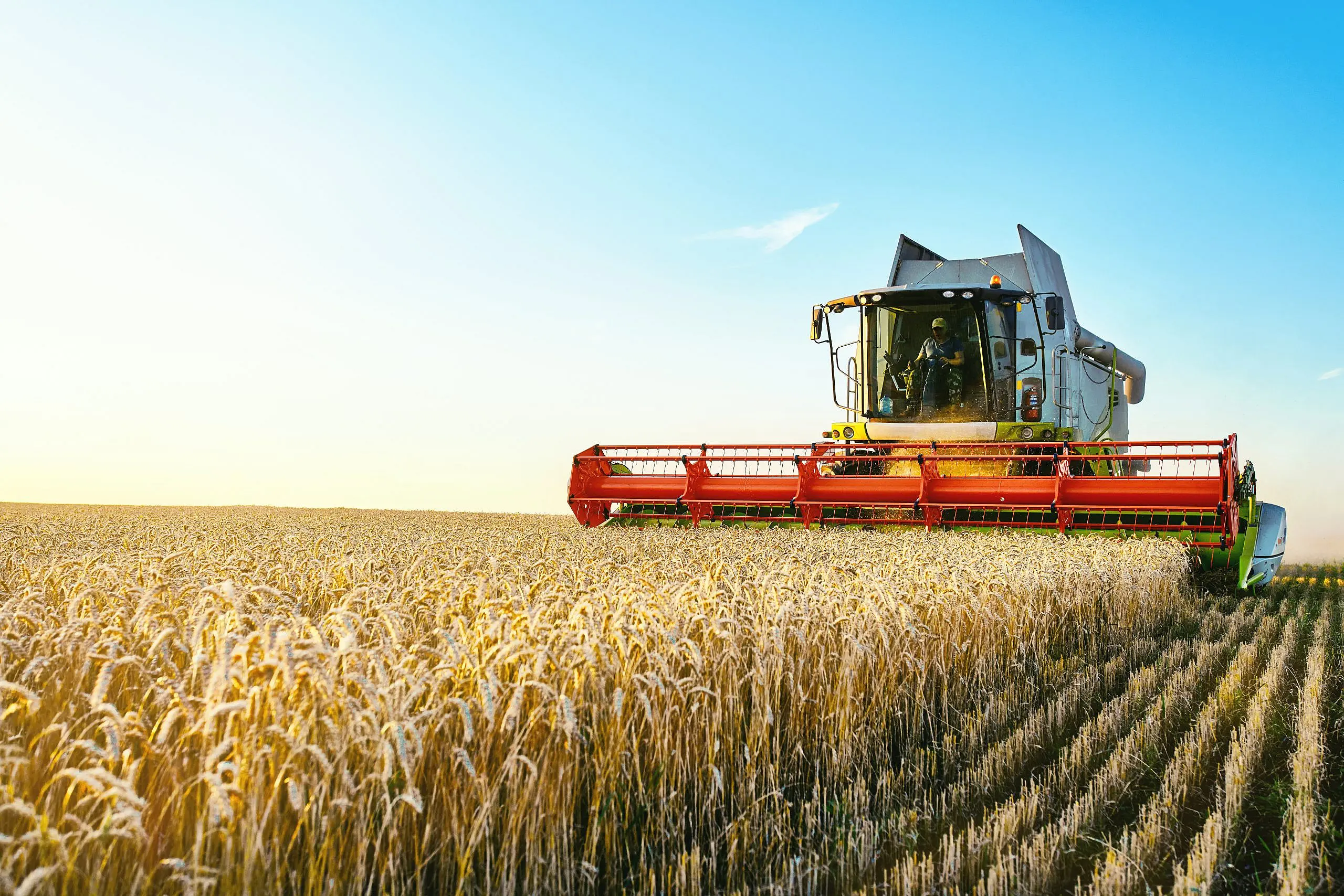 Landschaftliche Immobilien Münsterland
