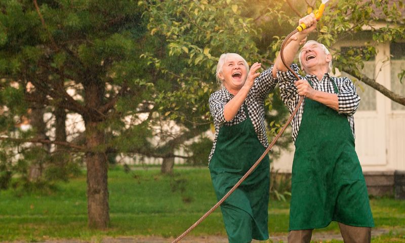 Lachende ältere Frau und älterer Mann mit einem Gartenschlauch im Garten.