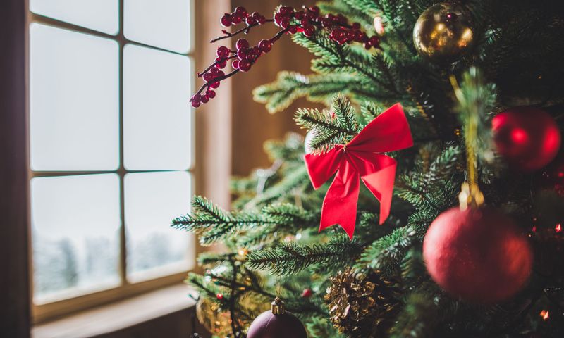Ausschnitt eines Weihnachtsbaums der vor einem Fenster steht.